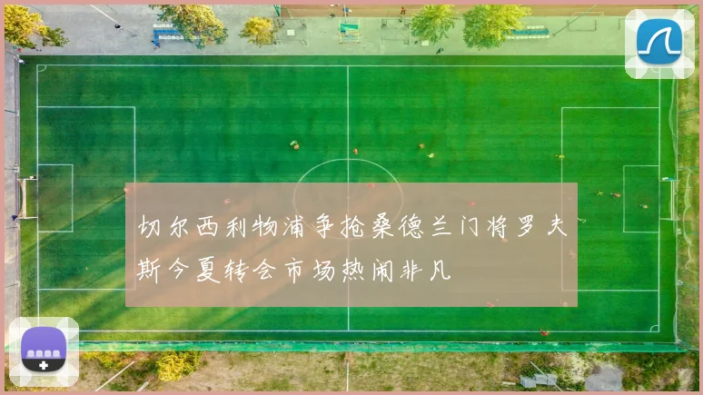 切尔西利物浦争抢桑德兰门将罗夫斯今夏转会市场热闹非凡