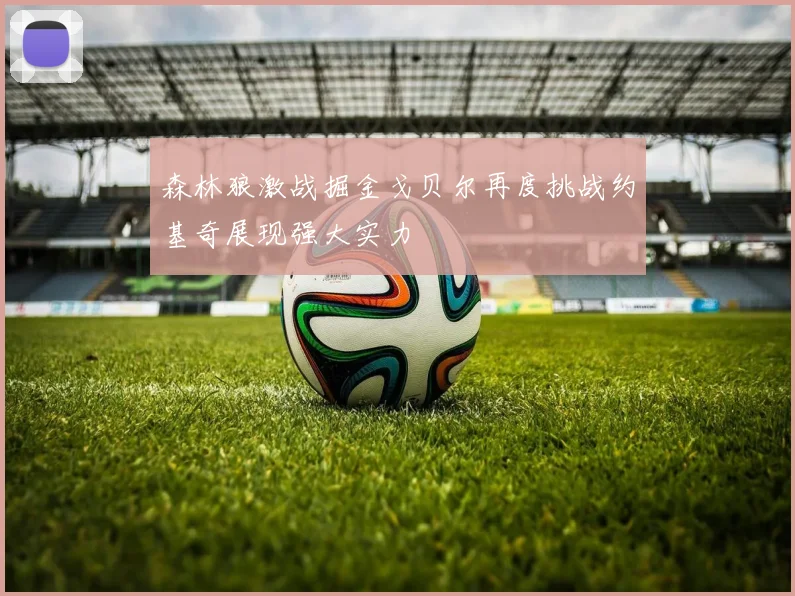 森林狼激战掘金戈贝尔再度挑战约基奇展现强大实力